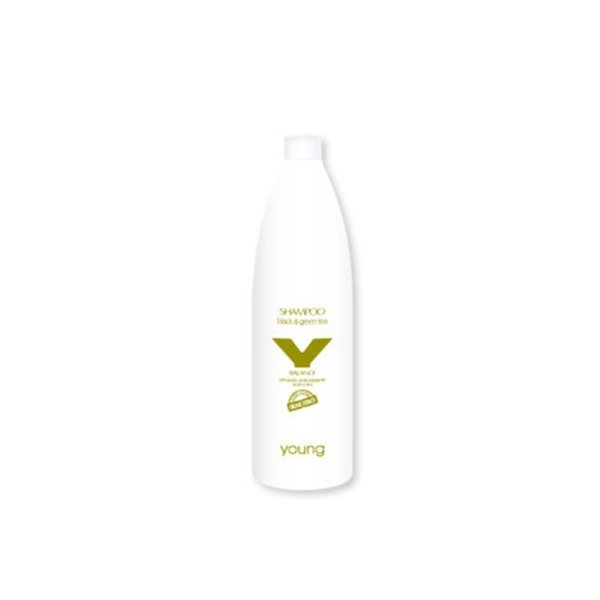 young-green-black-tea Šampon za obojenu kosu Young Organic Black & Green Tea - 1000 ml - Slika 1